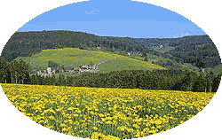 Fr&uuml;hling in Tennenbronn