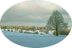 Winter in Tennenbronn