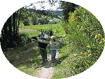 Wandern in Tennenbronn