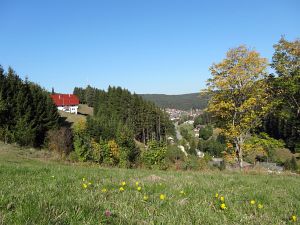 Herbst 2015 in Tennenbronn