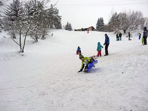 Optimale Bedingungen für Langlauf, Rodel und Ski