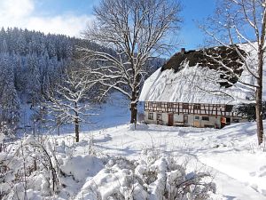 Winter an Neujahr in Tennenbronn