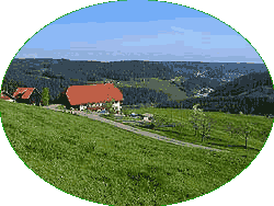 Mittelberg-Hub-Kohlwald-Schwarzenbach