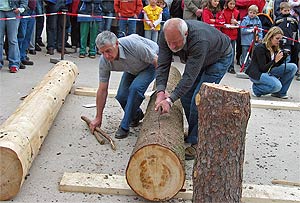 Holzbearbeitung