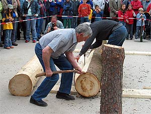 Holzbearbeitung