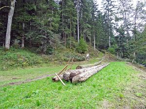 Hofbauern Holzriese in Reinerzau