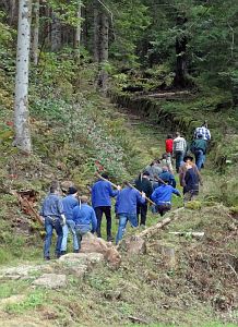 Hofbauern Holzriese in Reinerzau