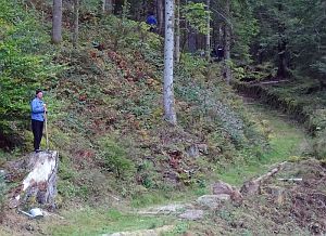 Hofbauern Holzriese in Reinerzau