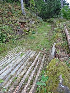 Hofbauern Holzriese in Reinerzau