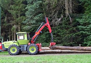 Hofbauern Holzriese in Reinerzau
