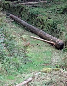 Hofbauern Holzriese in Reinerzau