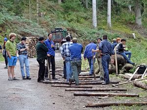 Hofbauern Holzriese in Reinerzau