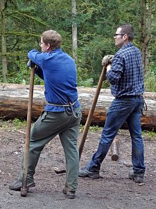 Hofbauern Holzriese in Reinerzau