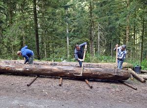 Hofbauern Holzriese in Reinerzau