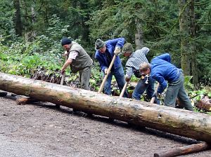 Hofbauern Holzriese in Reinerzau