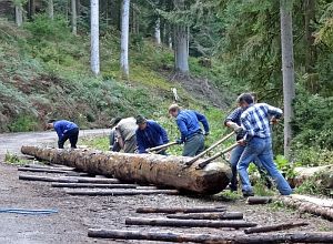 Hofbauern Holzriese in Reinerzau