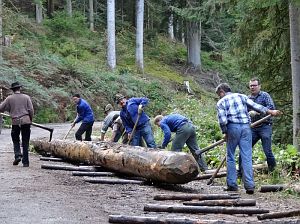 Hofbauern Holzriese in Reinerzau
