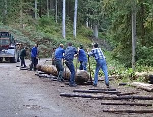 Hofbauern Holzriese in Reinerzau