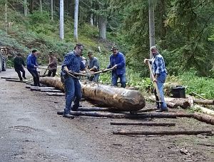 Hofbauern Holzriese in Reinerzau