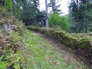 Hofbauern Holzriese in Reinerzau