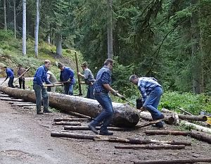 Hofbauern Holzriese in Reinerzau