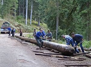 Hofbauern Holzriese in Reinerzau