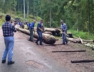 Hofbauern Holzriese in Reinerzau