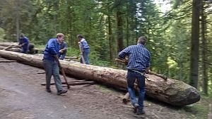 Hofbauern Holzriese in Reinerzau
