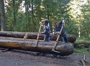 Hofbauern Holzriese in Reinerzau
