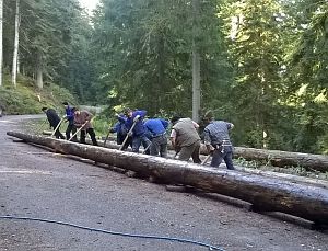 Hofbauern Holzriese in Reinerzau