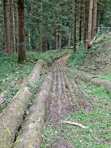 Hofbauern Holzriese in Reinerzau