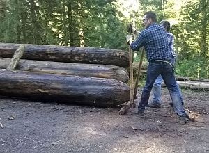 Hofbauern Holzriese in Reinerzau