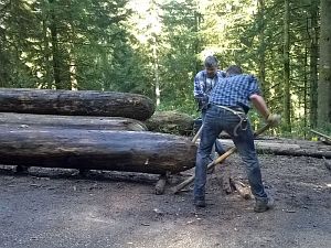 Hofbauern Holzriese in Reinerzau