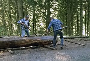 Hofbauern Holzriese in Reinerzau