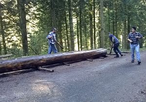 Hofbauern Holzriese in Reinerzau