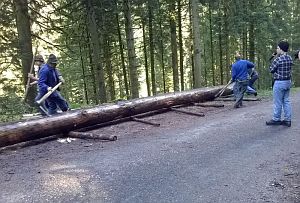 Hofbauern Holzriese in Reinerzau