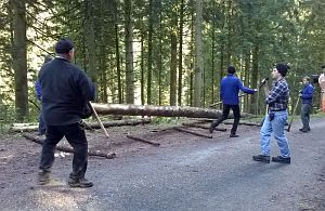 Hofbauern Holzriese in Reinerzau