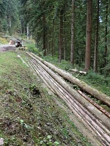 Hofbauern Holzriese in Reinerzau