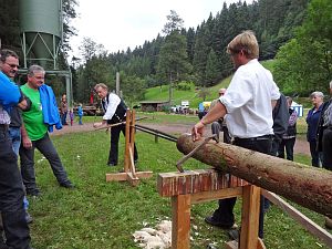 Hofbauern Holzriese in Reinerzau