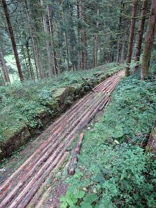 Hofbauern Holzriese in Reinerzau