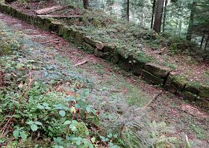Hofbauern Holzriese in Reinerzau