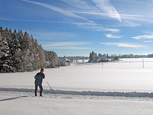 Wintersportbericht Tennenbronn