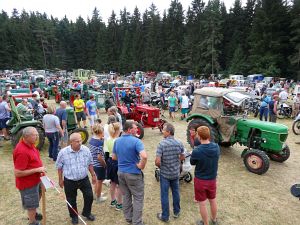 Heidelbeeren Heidelbeeren border=