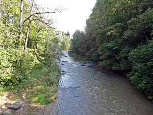 Sauschwnzlebahn