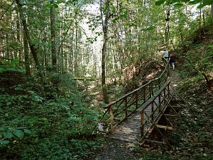 Sauschwnzlebahn