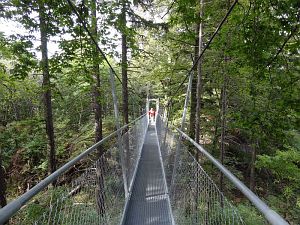 Traufwanderweg Oberhohenberg und Lemberg