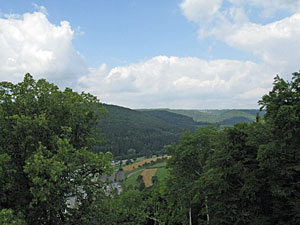 Nagold Stadt und Burg