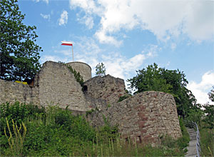 Nagold Stadt und Burg