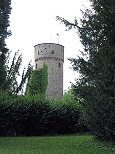 Nagold Stadt und Burg