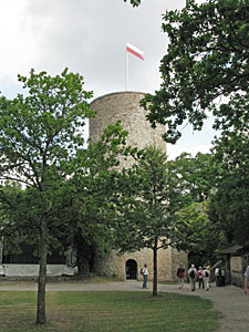 Nagold Stadt und Burg